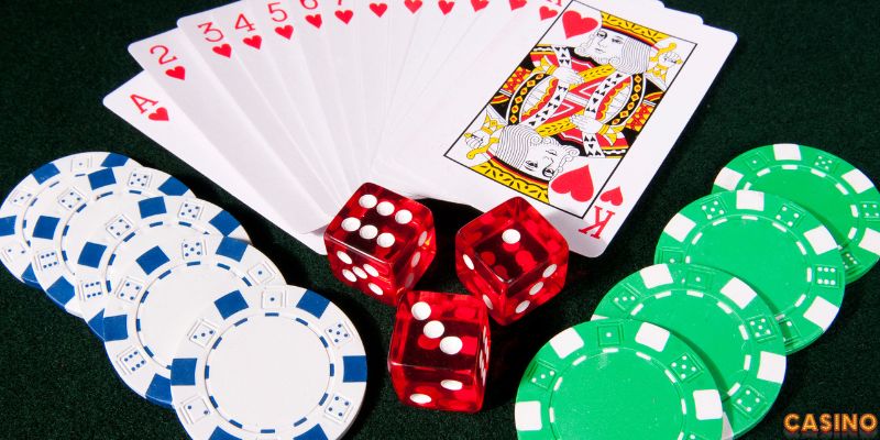 Catte tính toán bỏ lượt đúng lúc